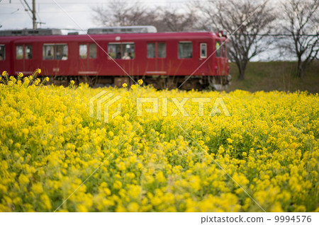 強姦開花火車 9994576