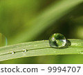 Green Planet Earth Drop 9994707