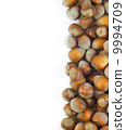 Hazelnut Background Isolated on White 9994709