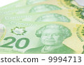 Canadian Twenty Dollar Bills 9994713