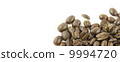 Coffee Bean Banner 9994720