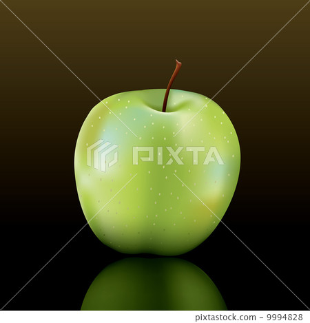 granny smith apple 9994828