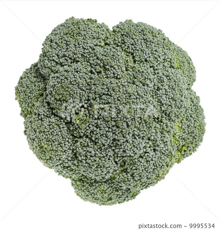 fresh broccoli cabbage 9995534