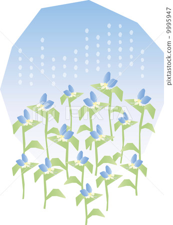 花園10-B堤津 9995947