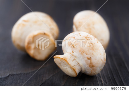 Fresh champignons Fresh champignons 9999179
