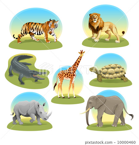 African animals iwith graphic backgrounds. African animals iwith graphic backgrounds. 10000460