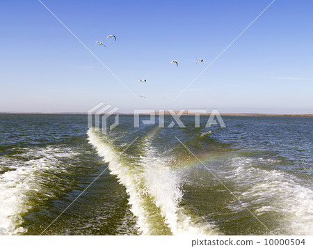 surf back from the sailing boat surf back from the sailing boat 10000504