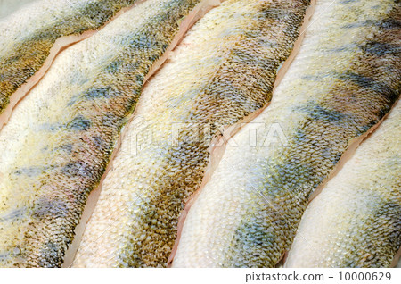 merluccius fillet merluccius fillet 10000629