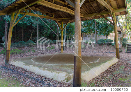 Shinto player's ring 10000760