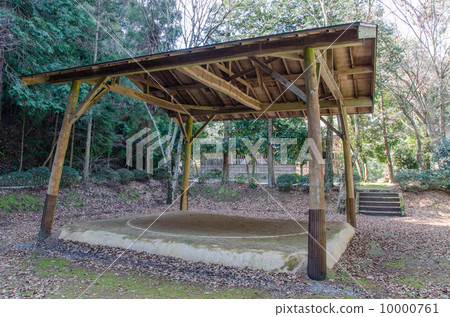 Shinto player's ring 10000761