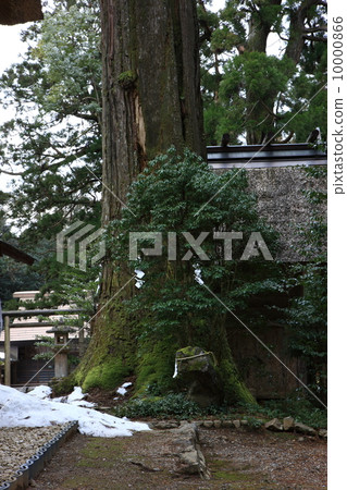 皇帝靖國神社 10000866