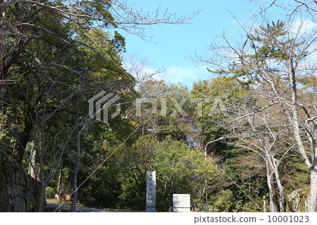 伊賀上野城堡 10001023