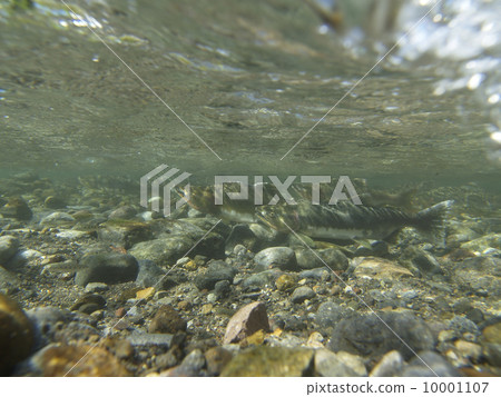 多彩的群眾 10001107