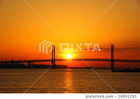 March Sky · Morning glow 64 Asahi · Yokohama Bay Bridge 10001293