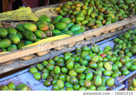 芒果部門 10001318