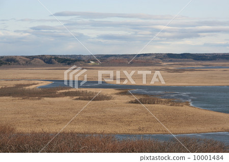 來自Biwase天文台 10001484