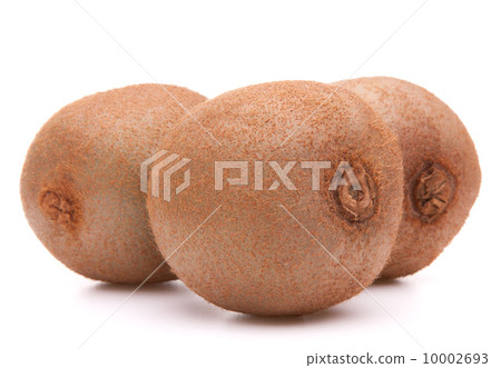 Kiwi fruit 10002693
