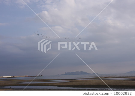 新海海灘 10002952