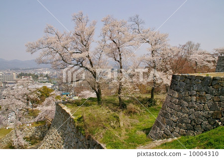 Okayama · Tsuyama castle in spring 10004310