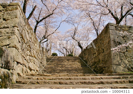 Okayama · Tsuyama castle in spring 10004311