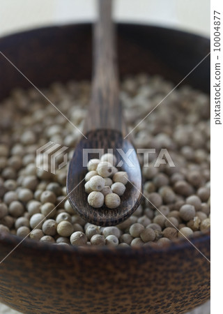 白胡椒大廳 10004877