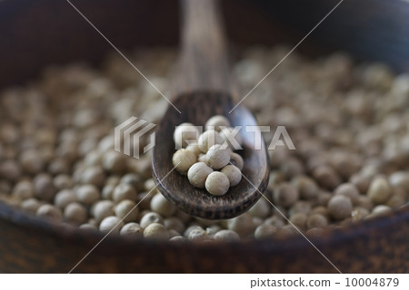 白胡椒大廳 白胡椒大廳 10004879