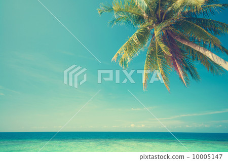 Summer sea view 10005147