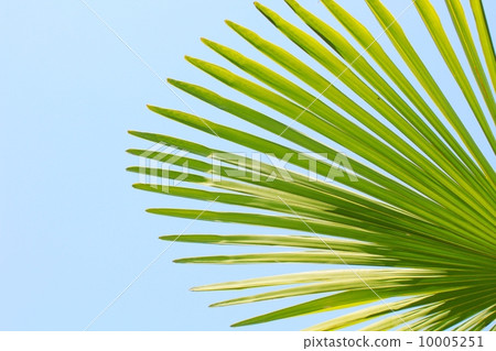 Schleaf離開了 10005251