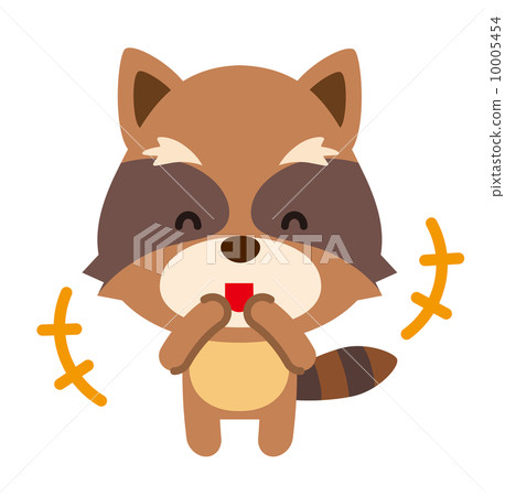 raccoon raccoon 10005454