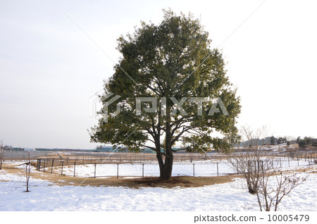 府中市武藏野森林公園 府中市武藏野森林公園 10005479