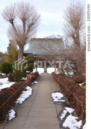 Mitaka Ryusegenji 10005494