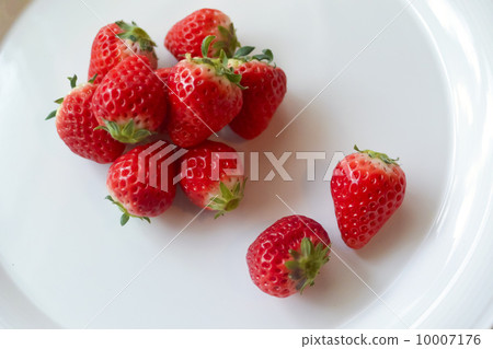 Strawberry Strawberry 10007176