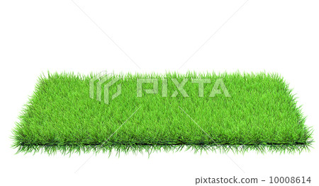 grass in field 10008614