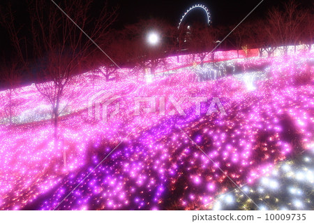Illumination of Sagami Lake 10009735