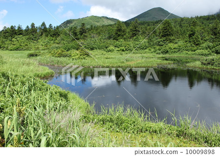睡蓮(Sirenriuma)和Hakkoda山 睡蓮(Sirenriuma)和Hakkoda山 10009898