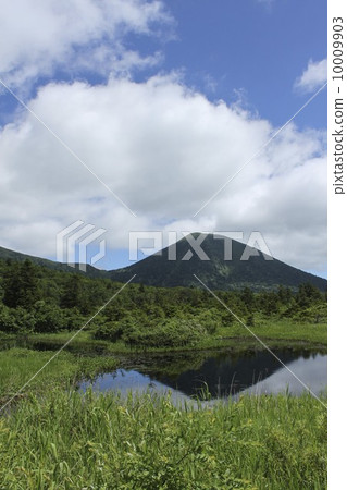 睡蓮（三水鋁合金） 10009903