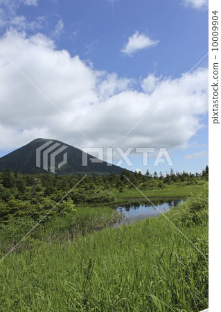 睡蓮(三水鋁合金) 睡蓮(三水鋁合金) 10009904