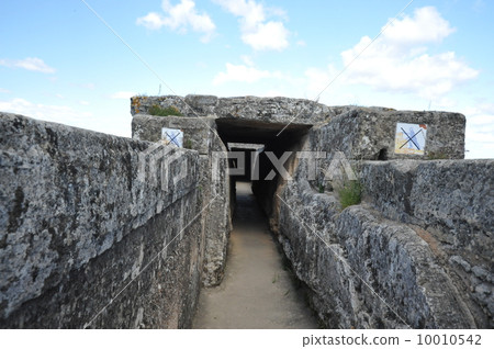 Pont du Gard的水道 10010542