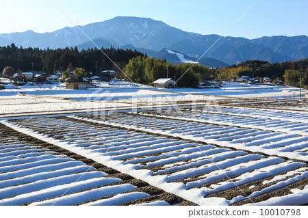Winter field and Ena mountain 10010798