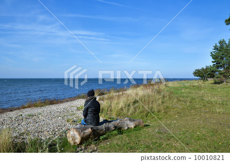 Looking at the sea 10010821