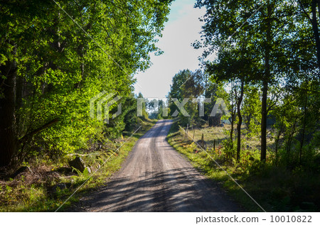 Dirt road Dirt road 10010822