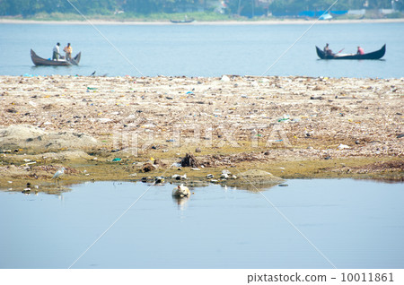 Abandoned dog and fishing boat at polluted coast 10011861