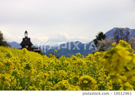 Nayama強姦花節 Nayama強姦花節 10012961