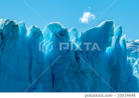 Blue ice of Perito Moreno Glacier, Argentina Blue ice of Perito Moreno Glacier, Argentina 10014646