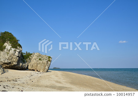 Rocky tropical coast Rocky tropical coast 10014957