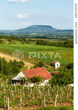 Landscape from Hungary 10015039