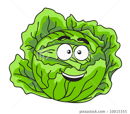 图库插图: fresh green leafy cabbage vegetable