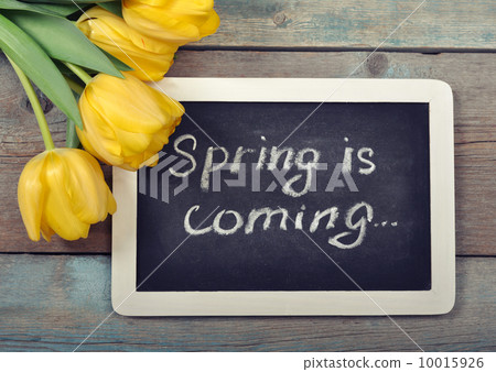Spring is coming Spring is coming 10015926