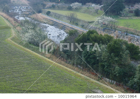 里山春天 里山春天 10015964