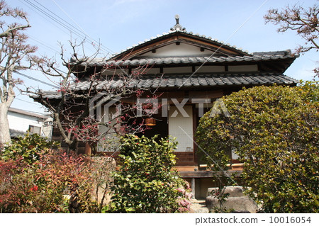 Tsubaki Honjin的茶室 10016054